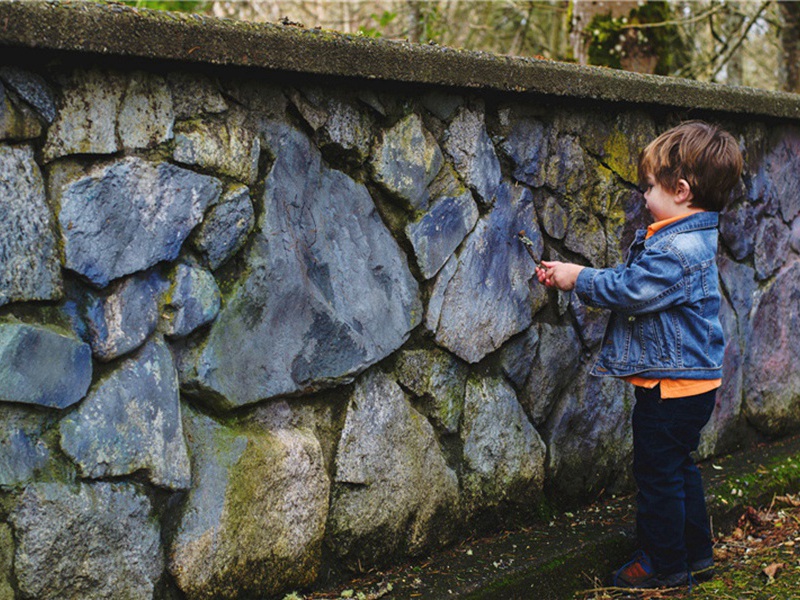 晚莲原文注释译文赏析-洪咨夔诗词-宋诗全集