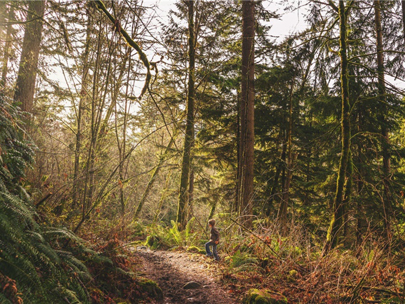 哭吴丞相元中二首·其二原文注释译文赏析-李纲诗词-宋诗全集