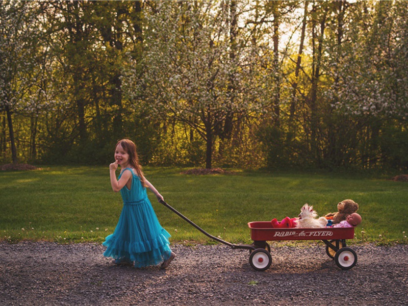 春日闲居原文注释译文赏析-黄庶诗词-宋诗全集