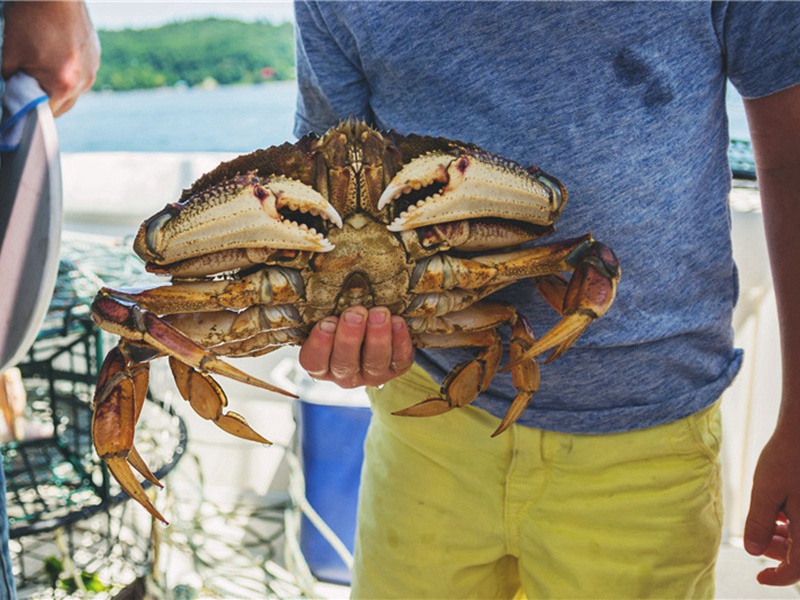 送徐晋卿东归原文注释译文赏析-胡宿诗词-宋诗全集