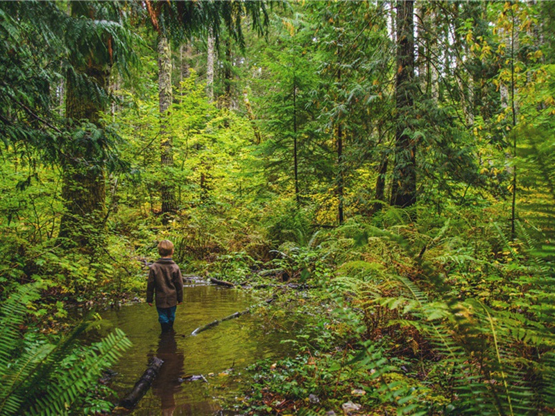 过玉山同昌甫宿岁寒轩感怆不已原文注释译文赏析-韩淲诗词-宋诗全集