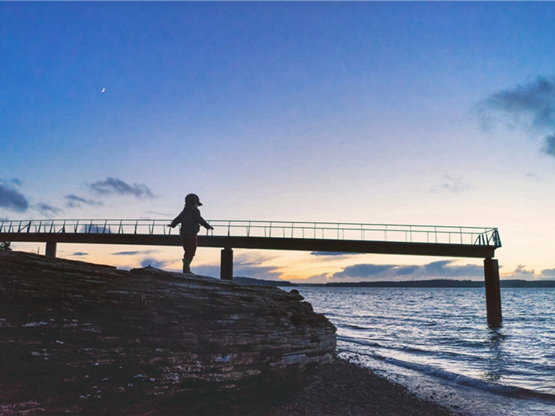 绍兴壬子六月先公再被掖垣之命某时侍行自清江登舟经祖印江口趋行在所未几罢归还憩丰城之龙泽寺明年初夏归隠南山己巳岁予偶游祖印留宿寺僧惠嵩能道昔寓龙泽之梗概两寺相望盖五十里时先公没十有二年矣予亦衰病投绂俯仰原文注释译文赏析-胡寅诗词-宋诗全集