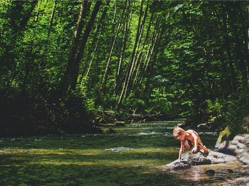 志宏见和西轩诗再赋前韵原文注释译文赏析-李纲诗词-宋诗全集