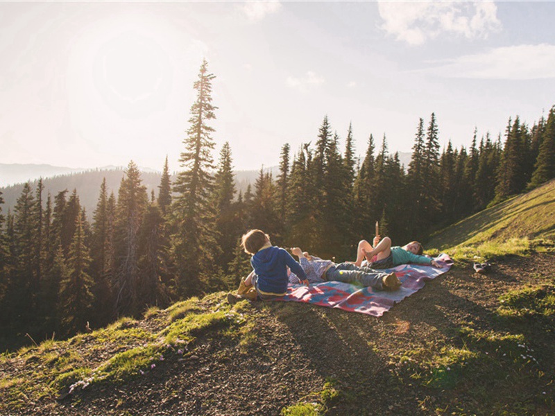 人日同弟侄会贾夷叔游射东园和仲冯以退之弄字韵次用原文注释译文赏析-刘攽诗词-宋诗全集