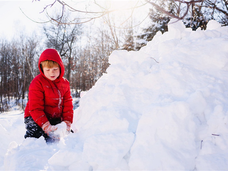 次韵程弟·其六原文注释译文赏析-方岳诗词-宋诗全集