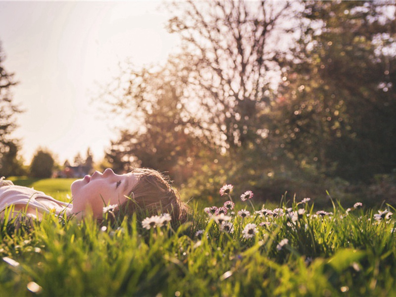 题晁以道雪雁图原文注释译文赏析-黄庭坚诗词-宋诗全集