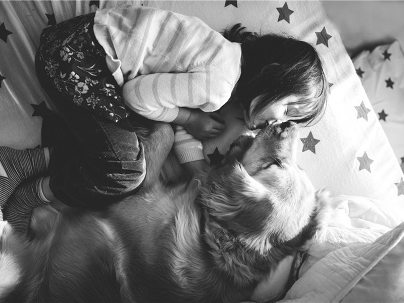 赠张咏原文注释译文赏析-傅霖诗词-宋诗全集