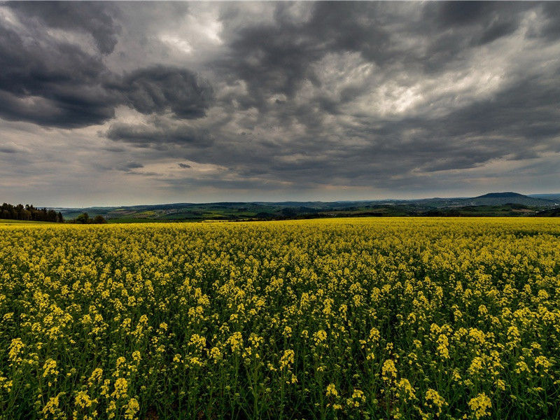寓直玉堂拜赐御酒原文注释译文赏析-范成大诗词-宋诗全集