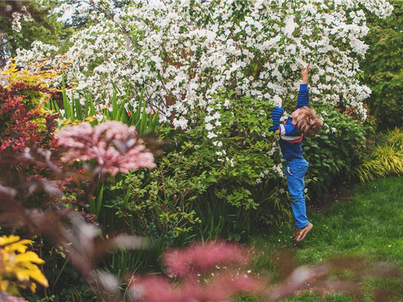 十二月十三日三桥小雪原文注释译文赏析-方回诗词-宋诗全集