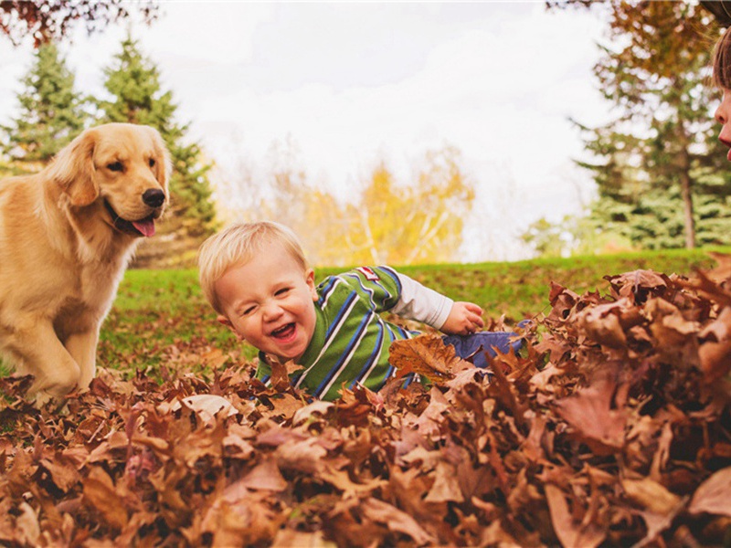 荆门军蒙泉原文注释译文赏析-李复诗词-宋诗全集