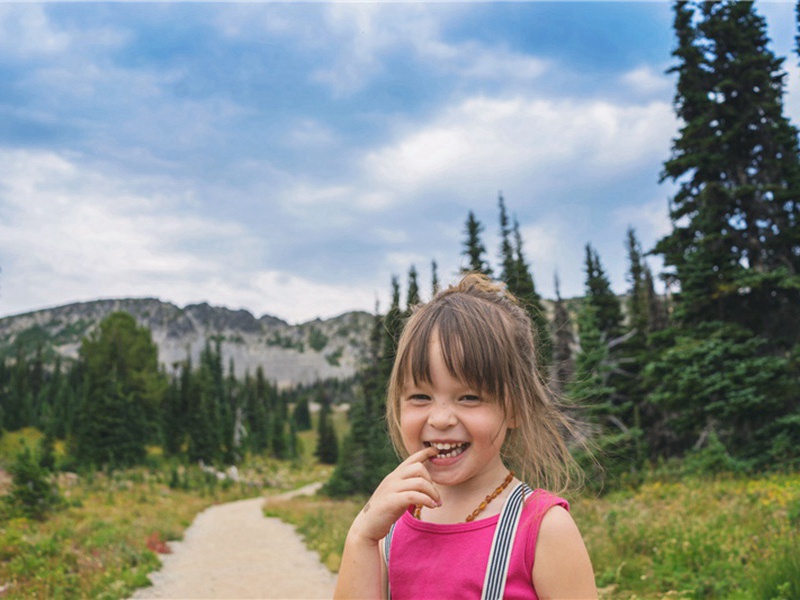 对竹次韵原文注释译文赏析-李吕诗词-宋诗全集
