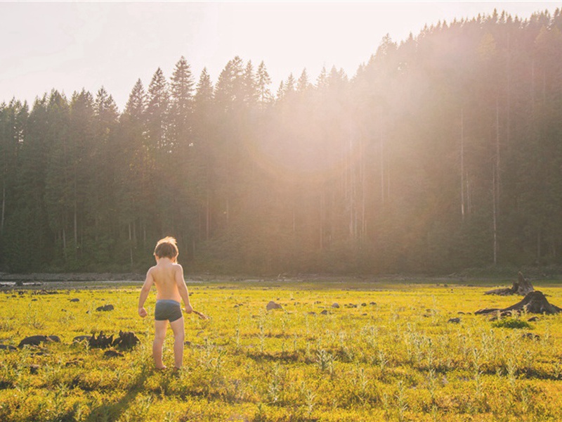 次韵胡兄·其一原文注释译文赏析-方岳诗词-宋诗全集