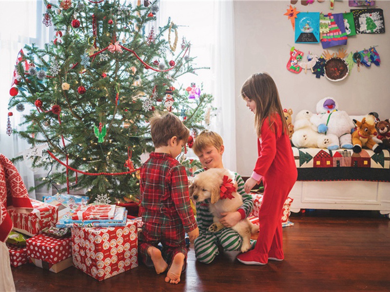 自西县趋南郑道中杂咏三首·其一原文注释译文赏析-李新诗词-宋诗全集