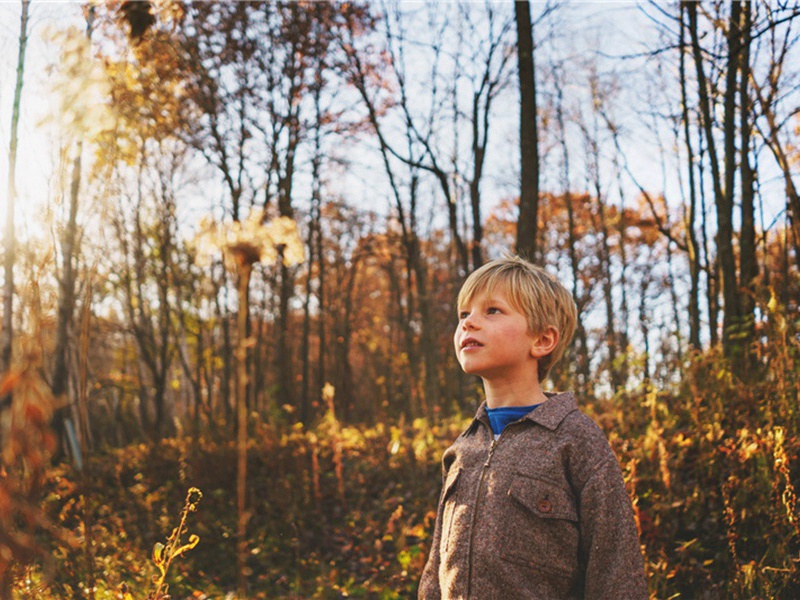 题九歌图原文注释译文赏析-方回诗词-宋诗全集