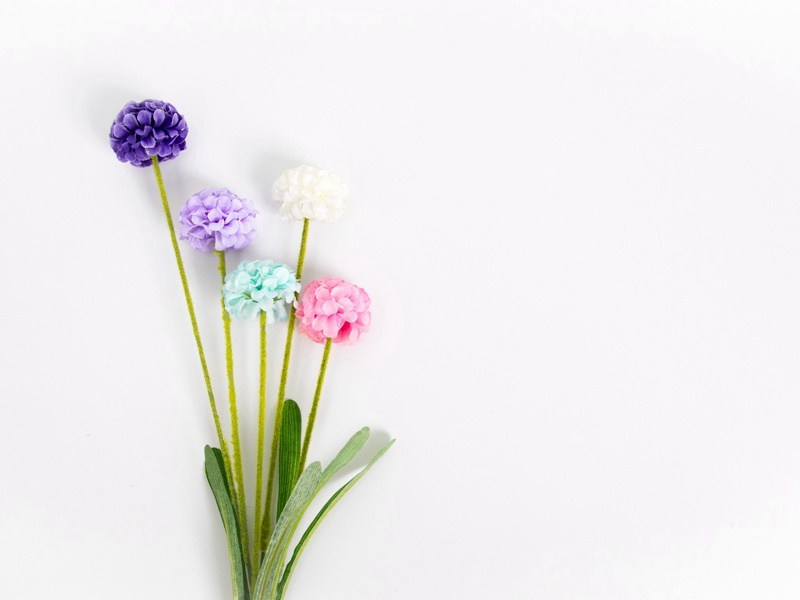 宁宗郊前朝献景灵宫二十四首·还位用《乾安》。圣祖位酌献用《祖安》，高宗御制，见前。原文注释译文赏析-郊庙朝会歌辞诗词-宋诗全集