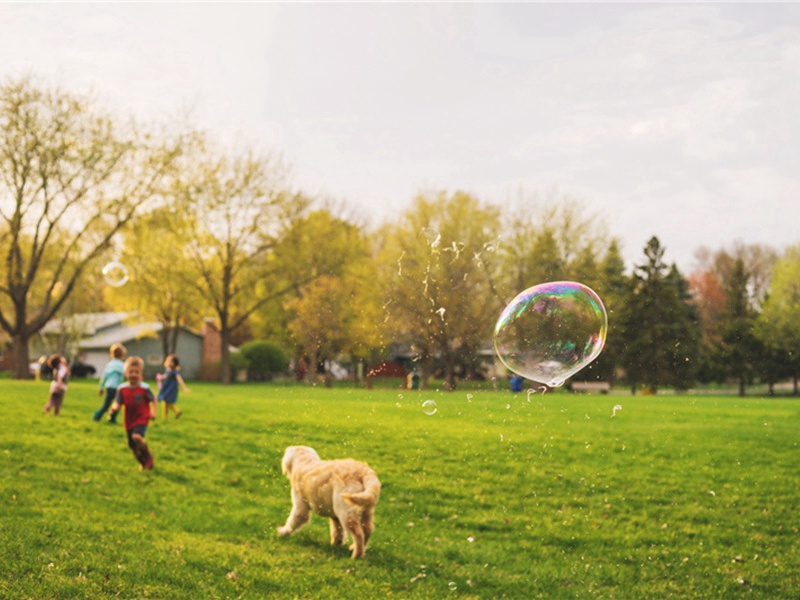 岁旱晚雨原文注释译文赏析-韩琦诗词-宋诗全集