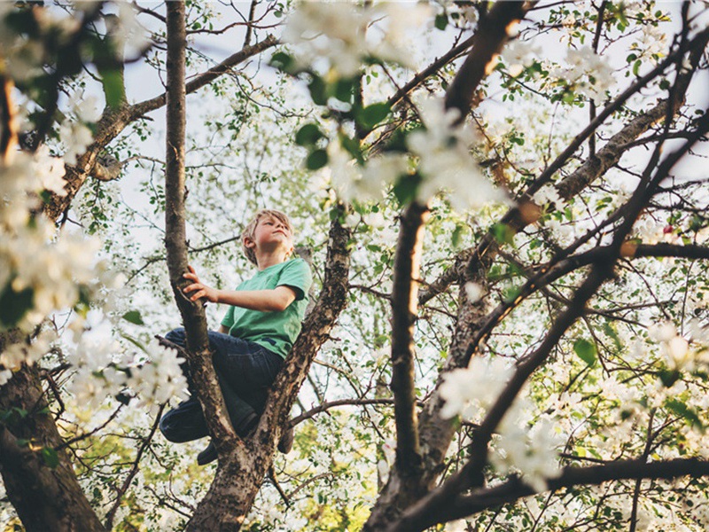 同道通师之香林马上原文注释译文赏析-贺铸诗词-宋诗全集