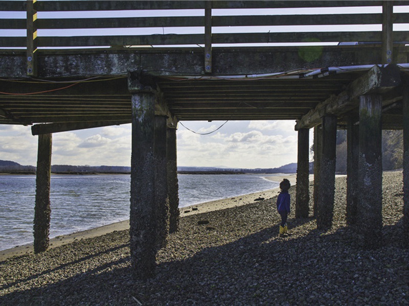 诗一首原文注释译文赏析-黄庭坚诗词-宋诗全集