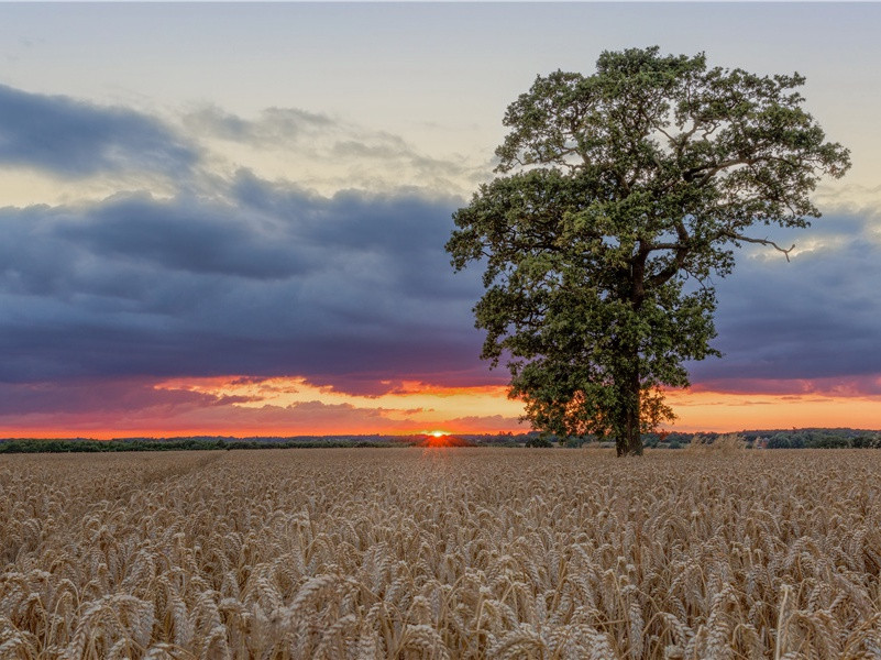 次韵徐秀才十首·其四原文注释译文赏析-陈造诗词-宋诗全集