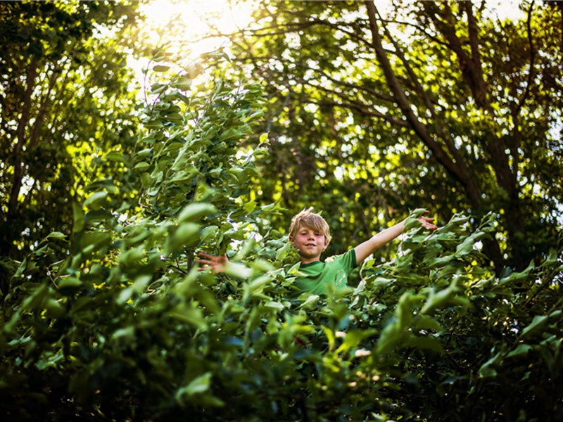 和坚伯梅六题一孤芳二山间三雪中四水边五月下六雨后每题二绝禁犯本题及风花雪月天粉玉香山水字十二绝·其二原文注释译文赏析-胡寅诗词-宋诗全集