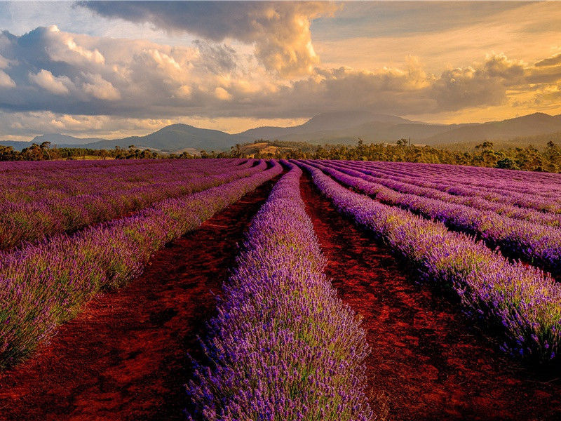 别长沙驿渡原文注释译文赏析-邓深诗词-宋诗全集