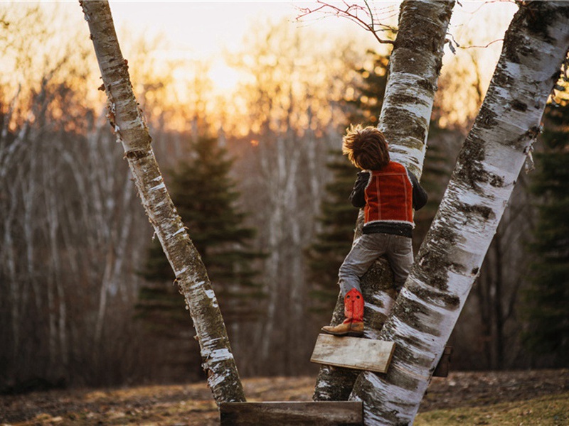奉陪方从教泛东湖原文注释译文赏析-洪朋诗词-宋诗全集