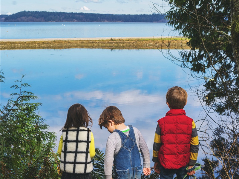次韵德孚咏梅原文注释译文赏析-李洪诗词-宋诗全集