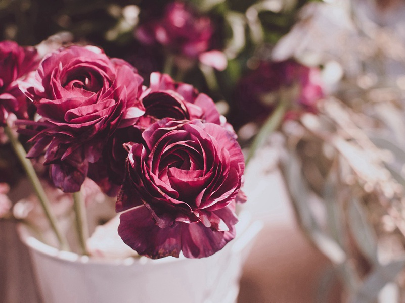 欲求闲局理旧学作·其二原文注释译文赏析-晁补之诗词-宋诗全集