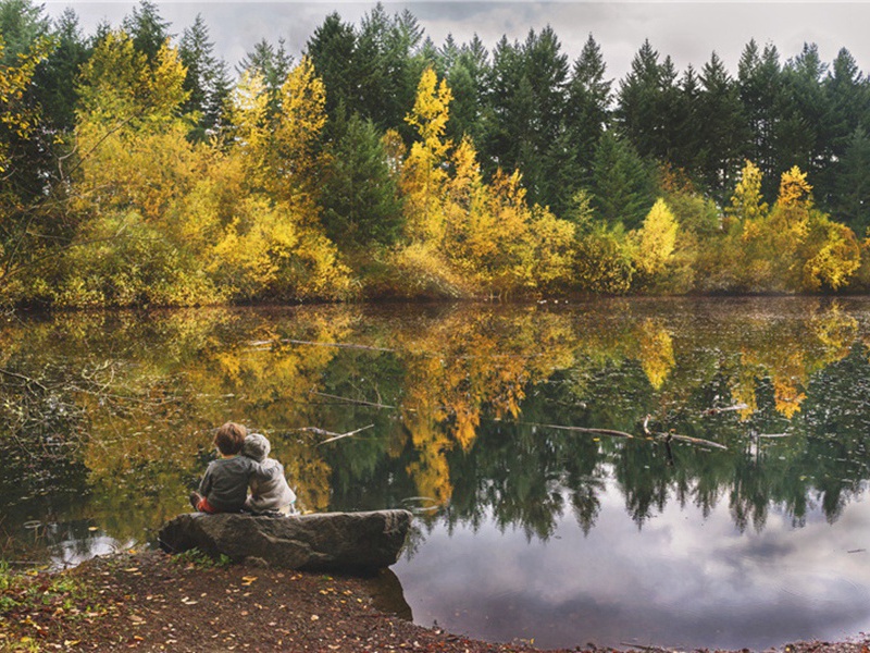 贻传神·其二原文注释译文赏析-黄裳诗词-宋诗全集