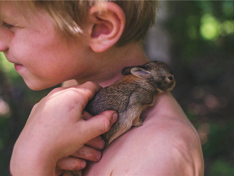 燕走马少卿口号原文注释译文赏析-李新诗词-宋诗全集