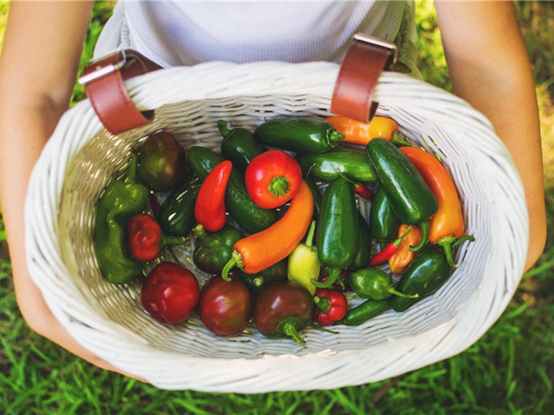 次韵奉答君俞原文注释译文赏析-韩维诗词-宋诗全集