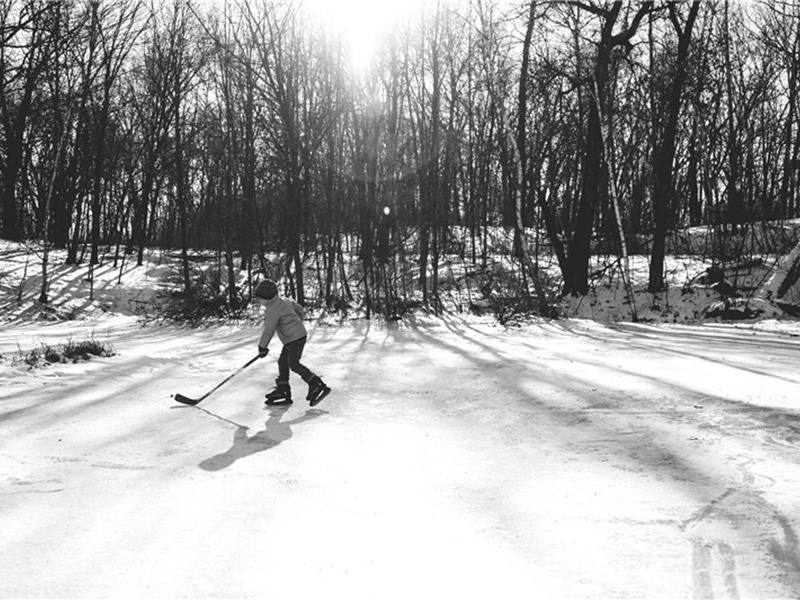 山中原文注释译文赏析-胡仲弓诗词-宋诗全集