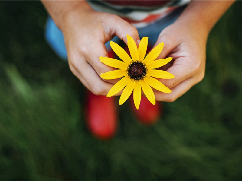 景佑祭文宣王庙六首·送神用《凝安》。原文注释译文赏析-郊庙朝会歌辞诗词-宋诗全集