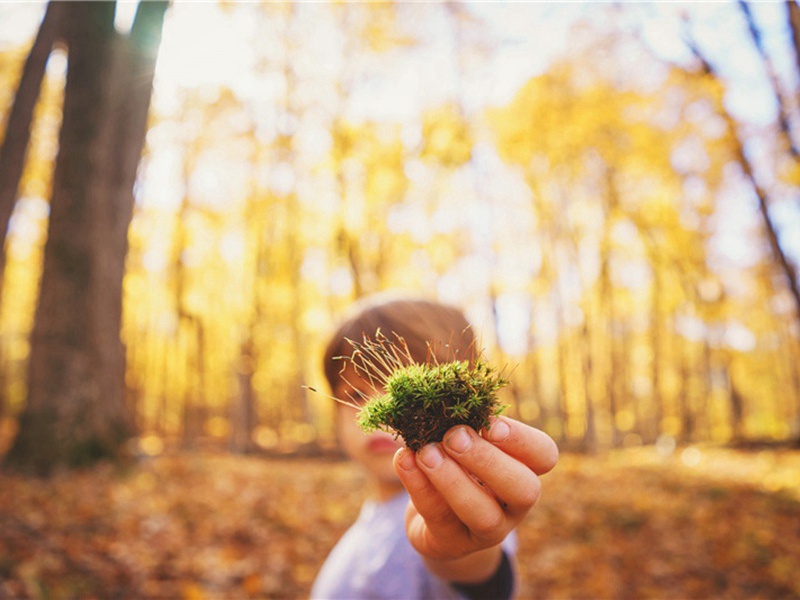 次韵秋日遣兴原文注释译文赏析-李洪诗词-宋诗全集