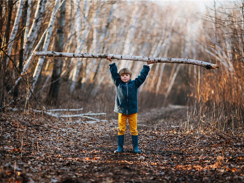 书逆旅壁原文注释译文赏析-陆游诗词-宋诗全集