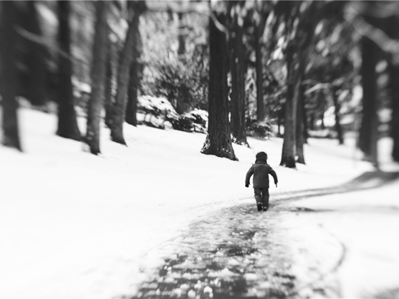 寄卢进斋原文注释译文赏析-顾逢诗词-宋诗全集