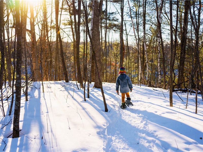 戏和于寺丞乞王醇老米原文注释译文赏析-黄庭坚诗词-宋诗全集