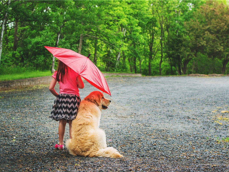 戏作冷语三首·其三原文注释译文赏析-韩驹诗词-宋诗全集