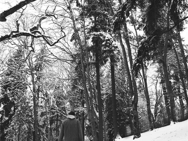 九日登寿沙城楼原文注释译文赏析-李曾伯诗词-宋诗全集