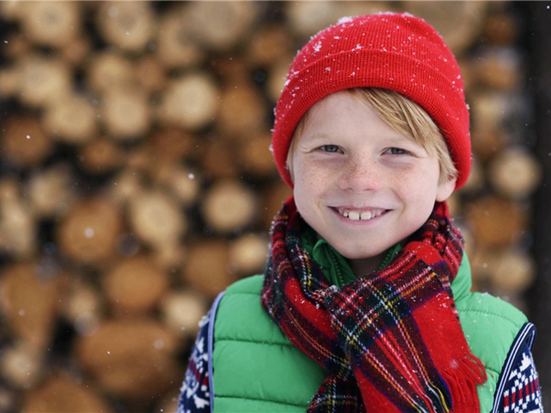 捉月仙原文注释译文赏析-华岳诗词-宋诗全集