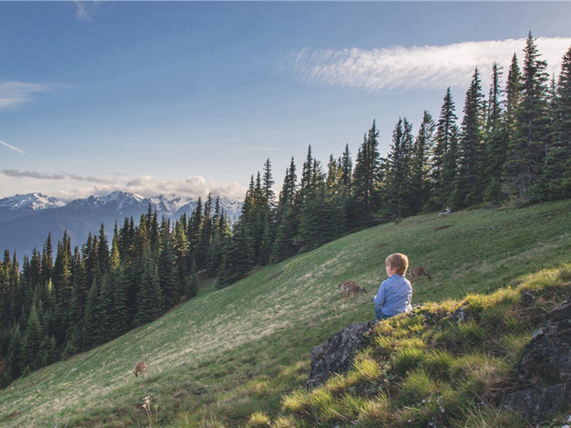 次韵吴明可与史致道会饮牛渚原文注释译文赏析-韩元吉诗词-宋诗全集