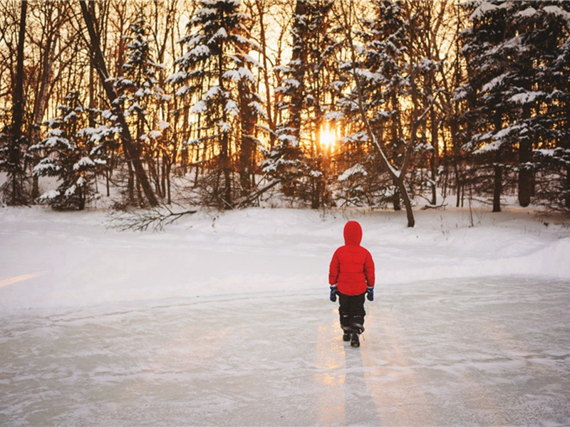 七十三吟原文注释译文赏析-陆游诗词-宋诗全集