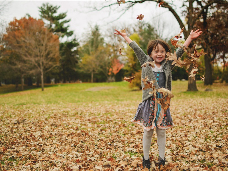 承以旧韵示喜霁诗次和原文注释译文赏析-刘挚诗词-宋诗全集