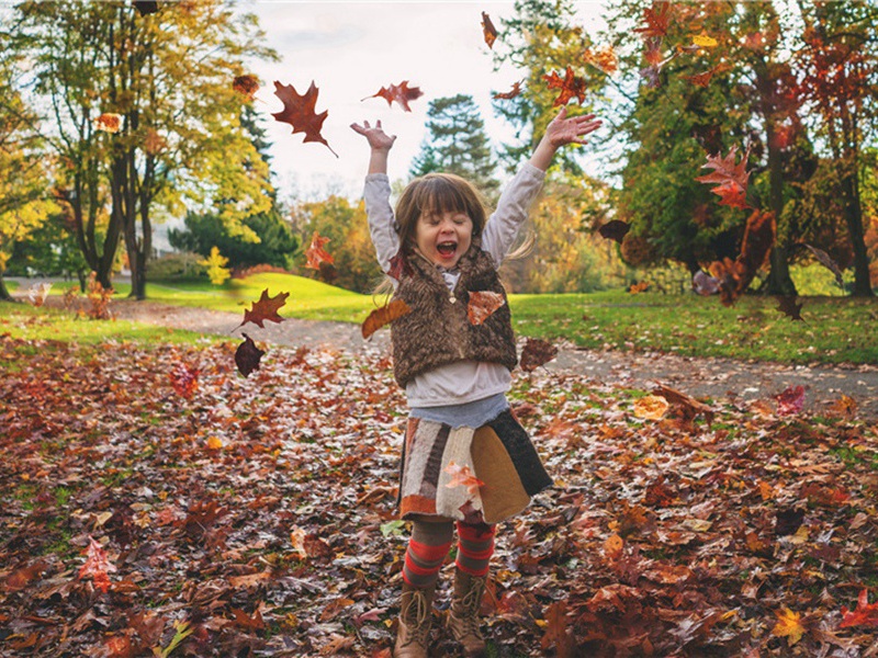 谢会稽守翟内相临学行乡饮酒之礼原文注释译文赏析-刘一止诗词-宋诗全集