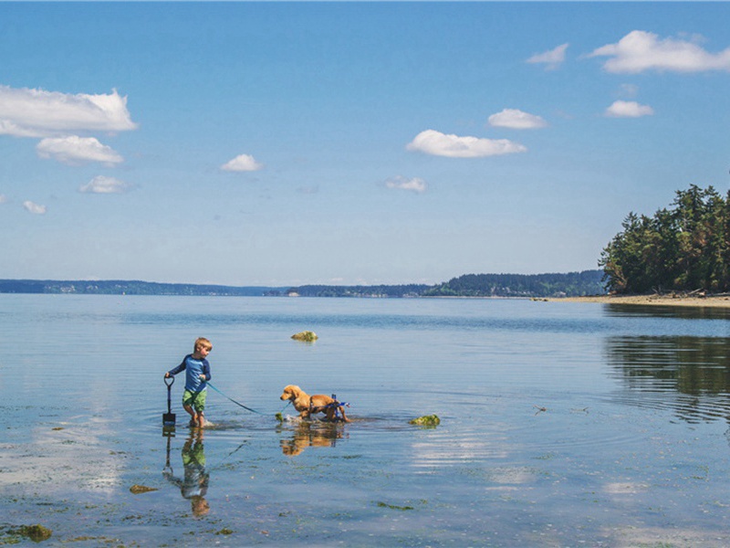 谢王成可惠鼎炉原文注释译文赏析-李彭诗词-宋诗全集