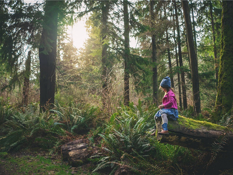 次韵徐赞府蜚英八首·其六原文注释译文赏析-方回诗词-宋诗全集
