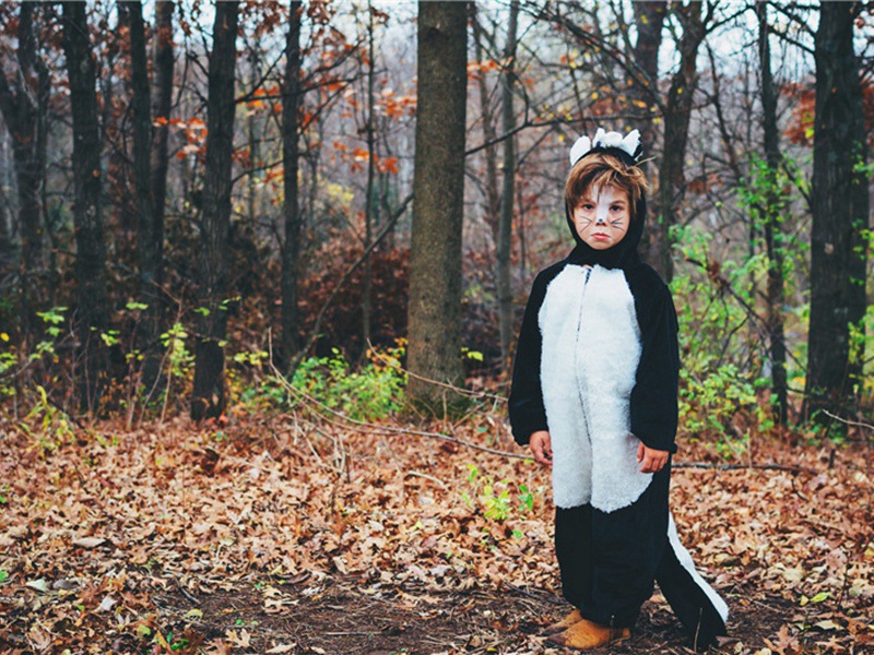 舟行青谿道中入歙十二首·其五原文注释译文赏析-方回诗词-宋诗全集