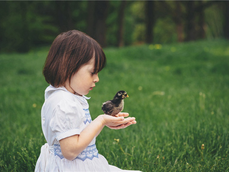 次韵酬季兄·其二原文注释译文赏析-方岳诗词-宋诗全集