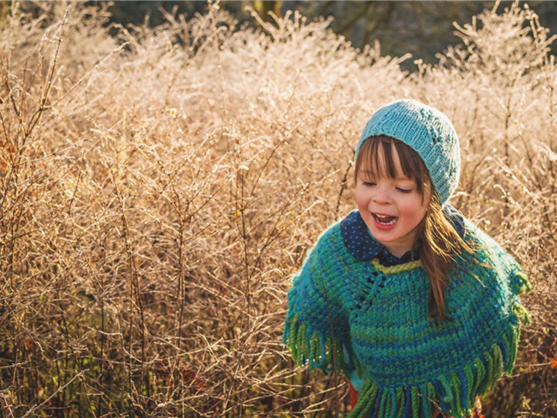 送李司户之官临邛原文注释译文赏析-李流谦诗词-宋诗全集