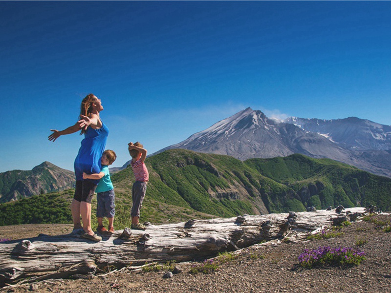 雪后看梅原文注释译文赏析-韩淲诗词-宋诗全集